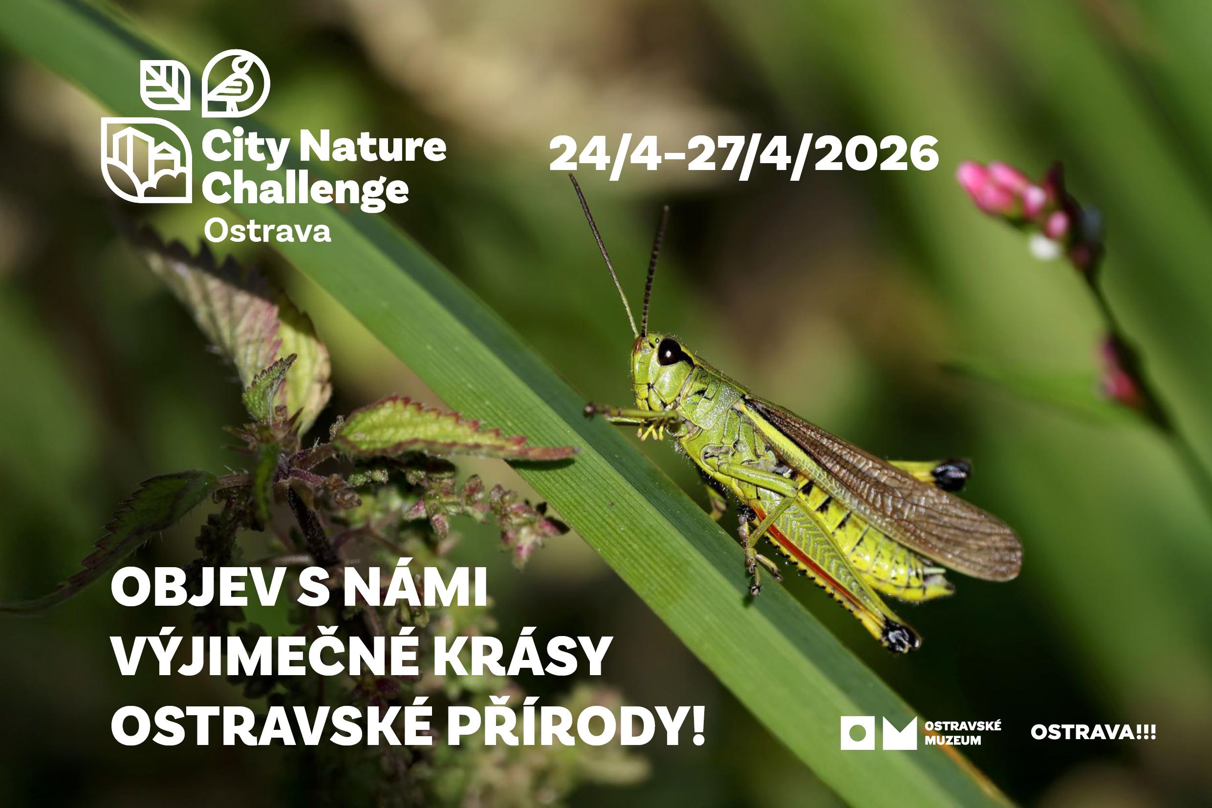 City Nature Challenge Ostrava (24/4 – 27/4 2026)